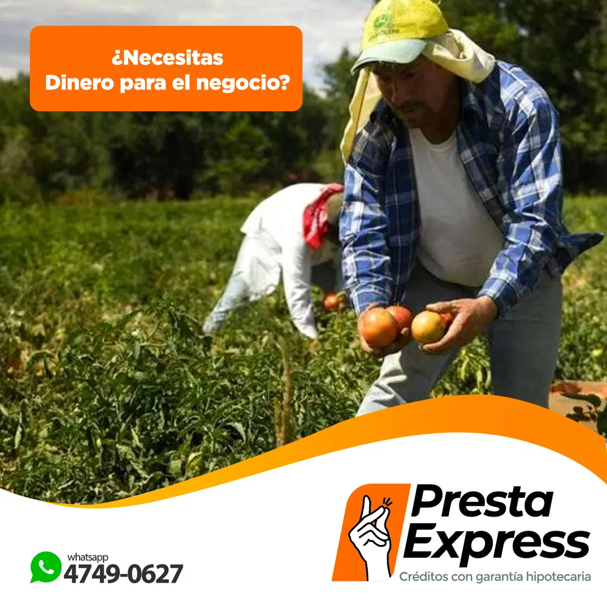 Un año de contenidos para una financiera — Presta Express
