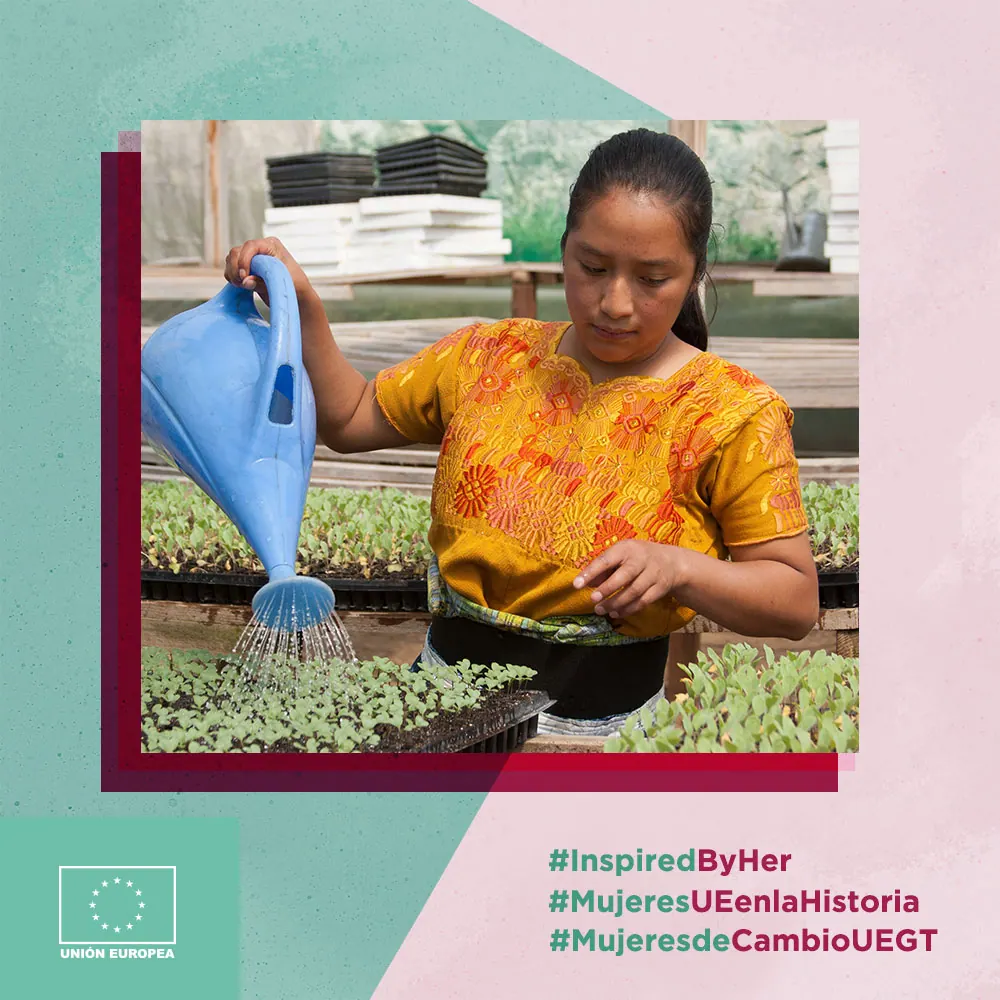 Un sistema gráfico para la cooperación europea — Unión Europea en Guatemala