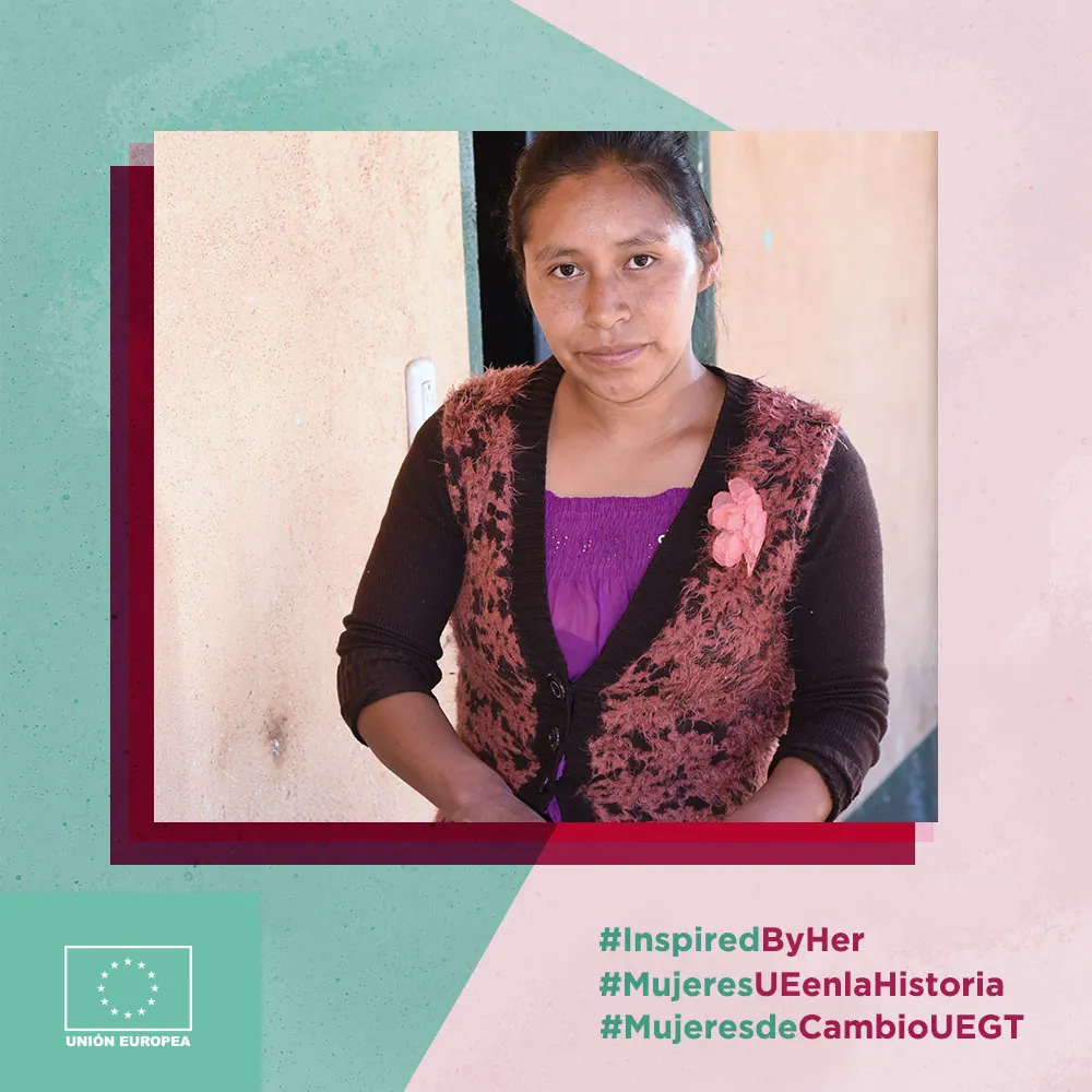 Un sistema gráfico para la cooperación europea — Unión Europea en Guatemala